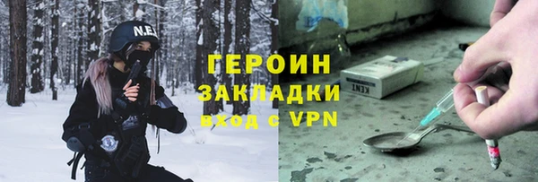 индика Богородицк