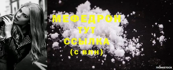 индика Богородицк