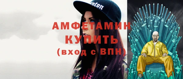 дмт Богданович