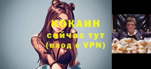 дмт Богданович