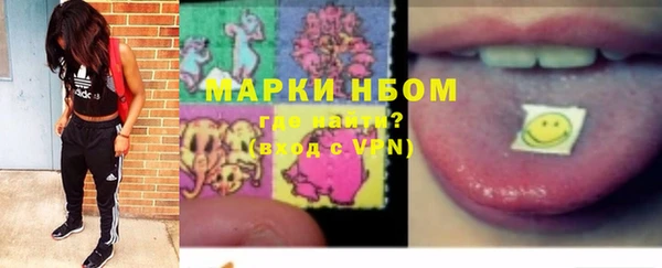дмт Богданович