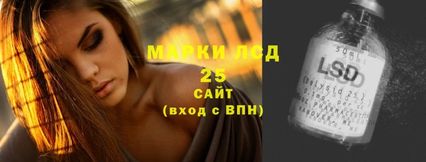 дмт Богданович