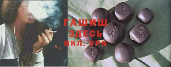 индика Богородицк