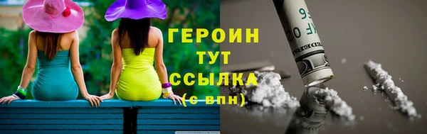 стаф Тайга