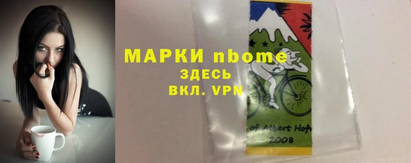 индика Богородицк