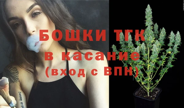 индика Богородицк