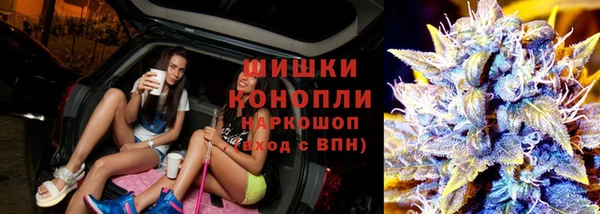 дмт Богородск