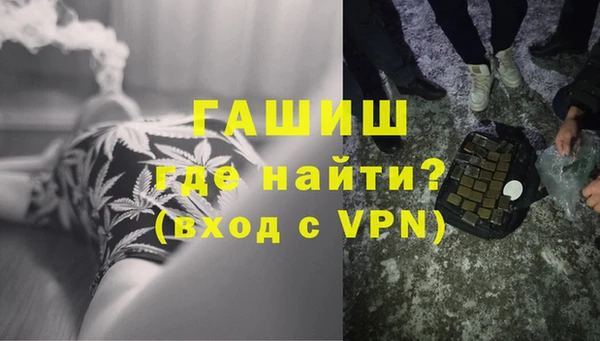 индика Богородицк