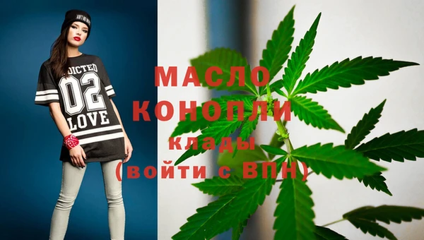 дмт Богородск