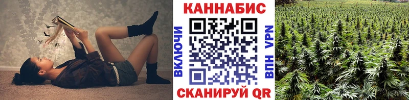 kraken ТОР Сретенск Бошки марихуана OG Kush
